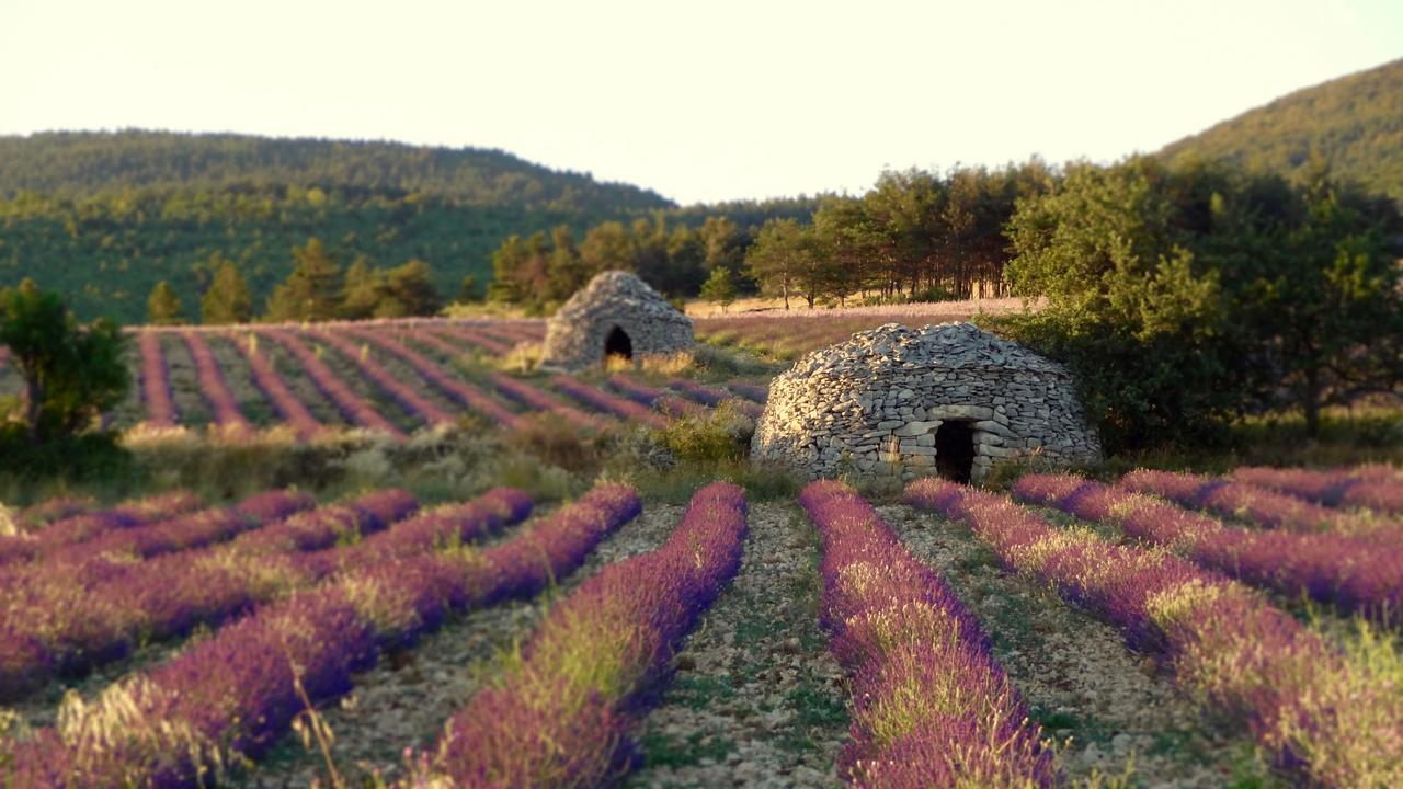 Château Ferrassières Ferrassieres Exterior foto